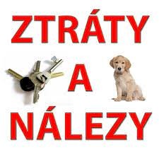 ztráty a nálezy